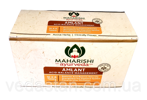 Амлант 60tab, зниження кислотності, гастрит, виразка, збудження блукаючого нерва, загоєння виразки, фото 1