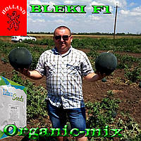 Семена, ранний, черный арбуз БЛЕЙК F1 / BLEKI F1, ТМ Libra Seeds (Голландия), 1000 семян