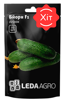 Огірок Бйорн F1, 10 шт (Leda Agro)