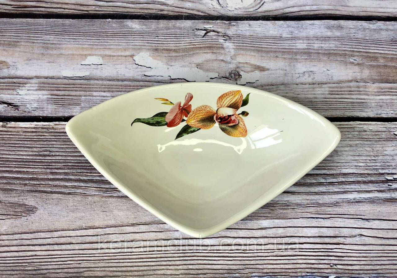 Салатник Керамклуб Горішник малий 18 см білий із деколю