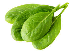 Шпинат Боа 200 шт Inter Seeds