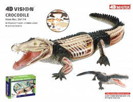 Анатомічна модель Крокодил 4D Master FM-622034