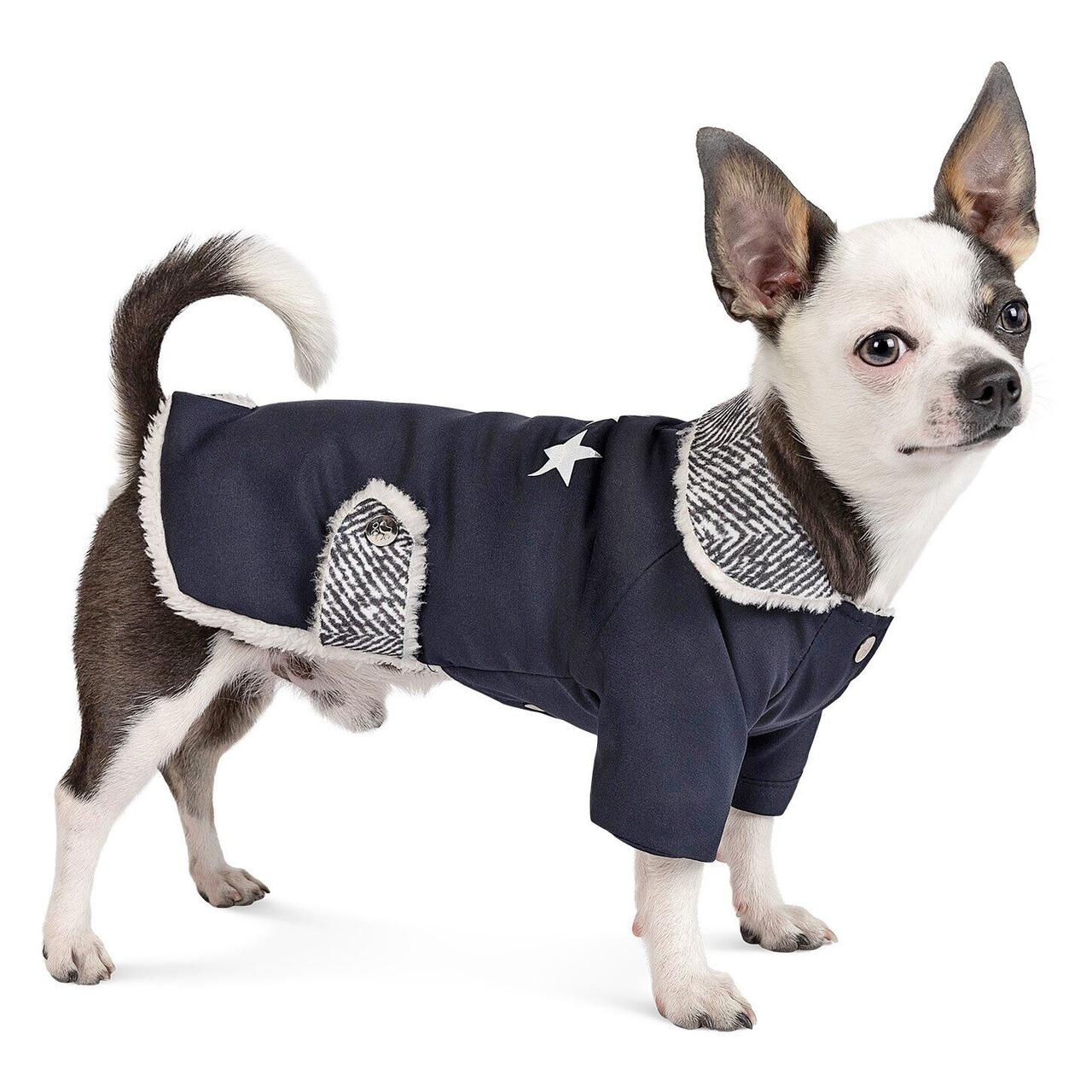 Жакет для собак Pet Fashion SIRIUS S (PR241837)