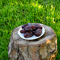 Фінік Ізраїль