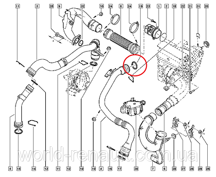 Renault (Original) 7701071148 — Ущільнювальне кільце патрубка інтеркулера на Рено Меган 3, фото 3