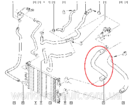 Gates 05-2686 — Патрубок радіатора охолодження верхній на Рено Меган II 1.6i 16V K4M, фото 2