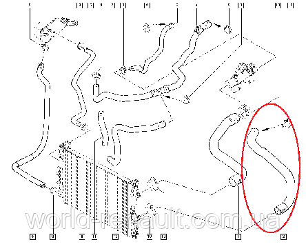 Gates 05-2687 — Патрубок радіатора охолодження нижній на Рено Меган II 1.6i 16V K4M, фото 2