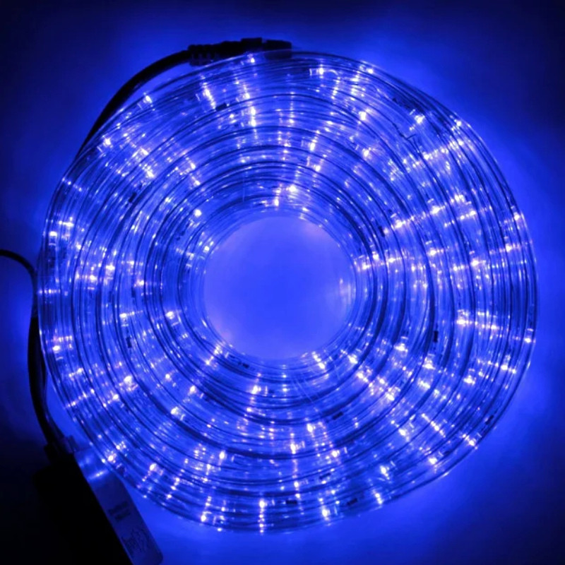 Дюралайт готовий комплект 10м Led з контролером,гірлянда вулична,Дюралайт з перехідником,світлодіодний шланг