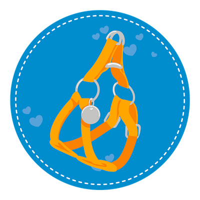 Шлейки і комплекти з поводками