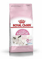 Корм Royal Canin Mother Babycat Роял Канін Мазе Енд Бебікет д / кошенят і годуючих кошек10кг