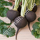 Редька зимова Чорна 500 г Satimex, фото 3