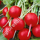 Редис Ілка 500 г Satimex, фото 2