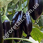 Баклажан Візир F1 10 шт Yuksel Tohum, фото 2