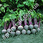 Буряк Кардіал F1 200 шт Sakata, фото 2