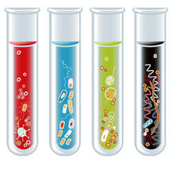 Пробіотики і пребіотики