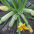 Кабачок Кавили F1 5 шт Nunhems, фото 2