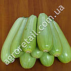 Кабачок Немо F1 5 шт Lark seeds, фото 2
