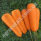 Морква Болівар F1 400 шт Clause, фото 2