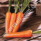 Морква Шантане 400 шт Нікерсон Цваан, фото 2