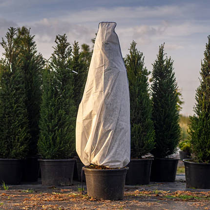Чохол для захисту рослин Gardenlife / Гарденлайф "Конус", фото 1