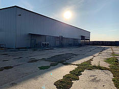 Холодильные камеры для охлаждения черешни