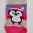 Теплі зимові шкарпетки махрові з принтом 🐧 пінгвін красиві 36-41 рожевий, фото 3