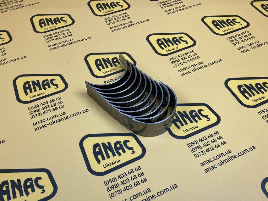 02/192002, 31126361, 31126381, 81558, U5MB0034, 067-6869