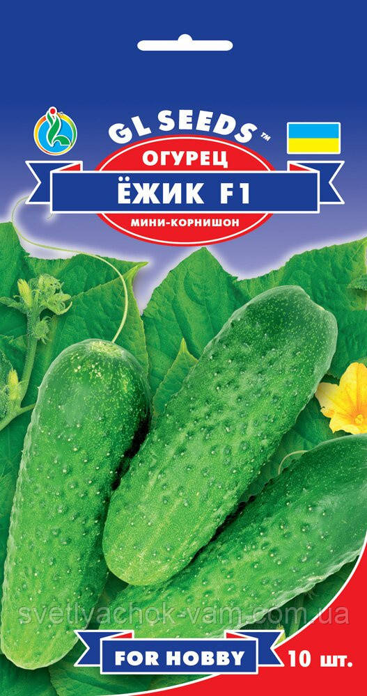 Огірок Їжачок F1 ранній гібрид міні корнішон урожайний без гарячої порожнечі хрусткий, паковання 10 шт.