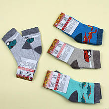 3100-10м Шкарпетки дитячі для хлопчика махра тм Виатекс розмір 10