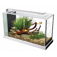 Акваріуми і тумби