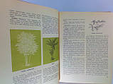 Посібник кольору (б/у)., фото 6