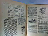 Посібник кольору (б/у)., фото 8