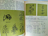 Посібник кольору (б/у)., фото 7
