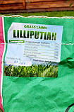 Насіння Газонна трава Ліліпут 10кг ТМ Green Field RasenSamen (Україна), фото 4