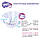 Підгузники дитячі Bella Baby Happy Newborn 2-5 кг 25 шт (5900516601805), фото 3