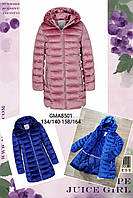 Куртка велюровая утепленная для девочек оптом, Glo-story, 134-164 см, № GMA-8501