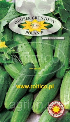 Огірок Полан F1, 5г. Roltico, Польща