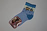 Шкарпетки дитячі Ведмедики Розмір 26-28, фото 3