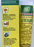 Цілющий антисептичний при  ураженнях шкіри Green Life, фото 3