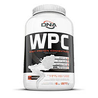 Протеин DNA Supps WPC, 2.27 кг Ваниль