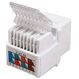 Модуль Keystone RJ45 UTP кат.5e широкий Ritar (08392), та вузький зрощувач, tooless Ritar (10176), фото 2