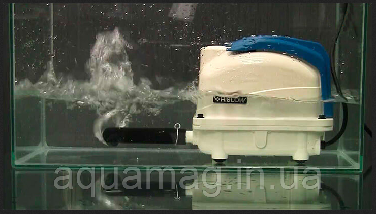 Мембранний компресор HIBLOW XP-60 для ставка, водойми, септика, узв, озера, фото 4