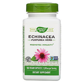 Ехінацея Nature's Way "Echinacea Purpurea Herb" 1200 мг (180 капсул)