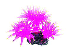 Декорації Tetradon