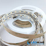 Світлодіодна стрічка RISHANG 5050/60 17.6 Вт 24В 12мм IP20 RGB/WW, фото 6