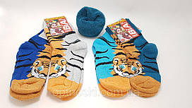 Дитячі зимові шкарпетки махра всередині. (р18) 5-6 років