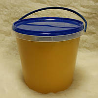 Мед натуральний "Різнотрав'я 2025" 1 літр