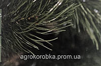 Сосна ЛЮКС ЛИТА висота дерева 1,8 м штучна