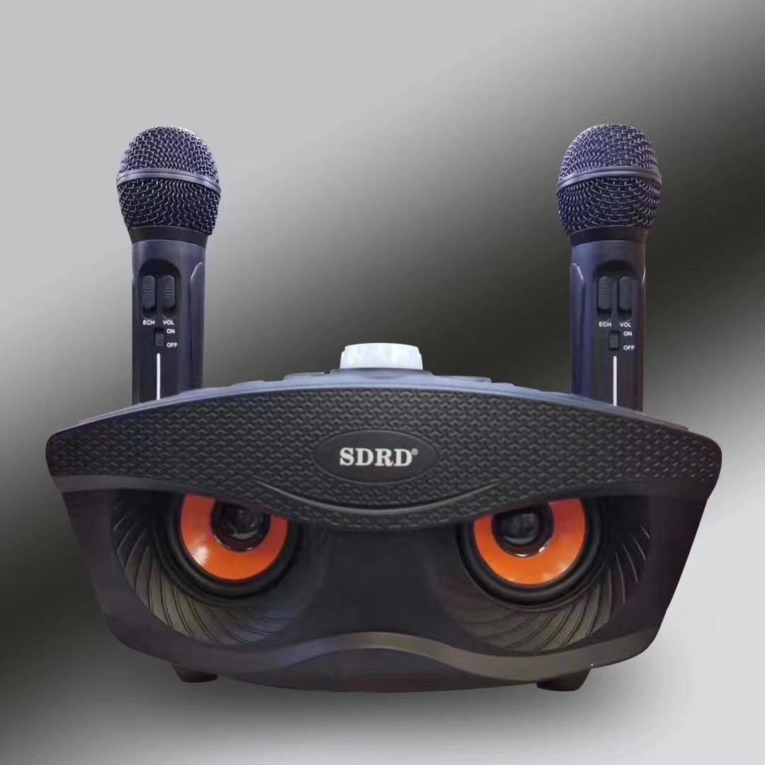 Акустична система караоке SDRD SD-306 з двома мікрофонами Black