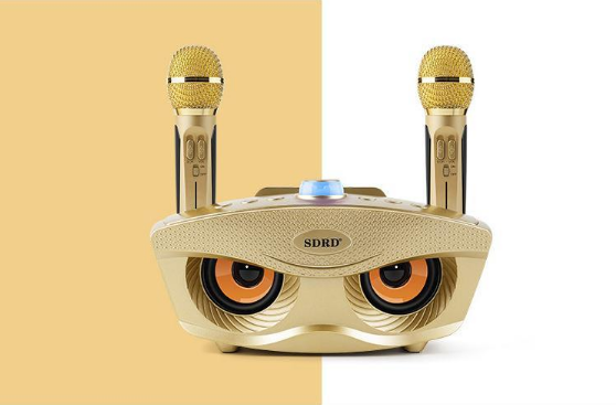 Акустична система караоке SDRD SD-306 з двома мікрофонами Gold, фото 1